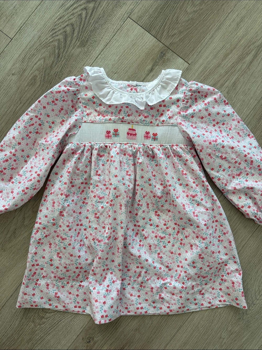 Eliza James Kids Smocked Birthday Cake Floral Dress Size 5